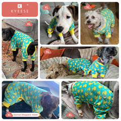 KYEESE dog-onesie provides extra coverage for sensitive skin areas on cooler days.