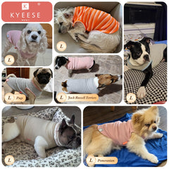 KYEESE small-dog fit shirt modeled with chest measurements for accurate sizing.