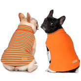 KYEESE dog sweater front view in 2-pack provides soft, stretchy comfort for small dogs.
