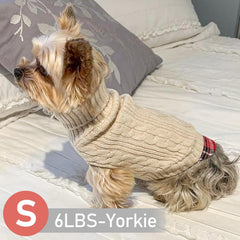 Kyeeese dog sweater worn by a small dog for chilly outdoors