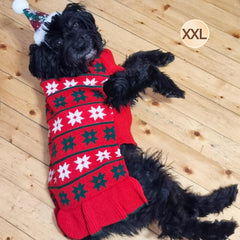 KYEESE warm-knit pullover keeps medium dogs comfy in chilly evenings and car rides.