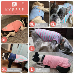 KYEESE dog shirt small fashion striped pattern, standout street-style look for small dogs.