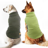 KYEESE dog-sweater back measurements guide a snug fit for cold walks