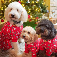 KYEESE easy-on stretch fabric dog PJs for quick outfit changes