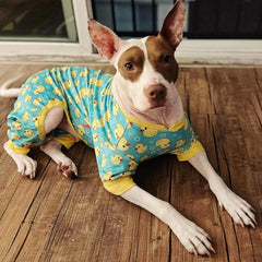 KYEESE dog pajamas soft-stretch-velvet offer plush comfort and easy movement.