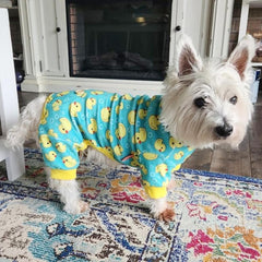 KYEESE Dog Pajamas pullover design for easy on-off dressing