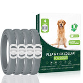 KYGNE dog flea collar pack four shown for 4-pack protection against fleas and ticks.