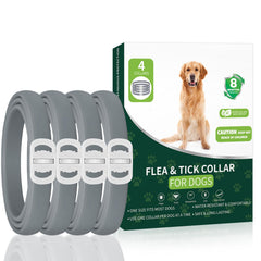 KYGNE dog flea collar pack four shown for 4-pack protection against fleas and ticks.