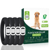 KYGNE four-pack dog flea collars ready for use with extended protection.