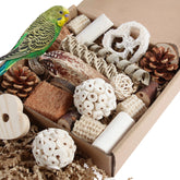 Kyouki bird toys natural materials close-up showing pine cones and coconut shells foraging play