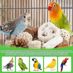 Kyouki bird toys snack-seek demonstrates hidden treats inside the box for detective-style foraging