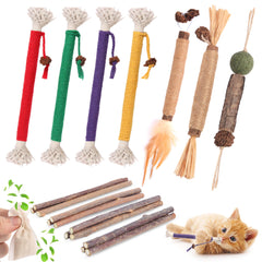 Kyouki silvervine sticks 18-pack, natural dental-friendly chew for indoor cats.
