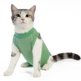 kzrfojy bodysuit recuperación para gatos verde mediana evita lamer la herida.