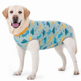 Kzrfojy dog surgery recovery suit front view highlights breathable fabric for comfort post-surgery