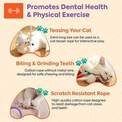 La Luz 2021 dental care chew feature showing mint filled ropes