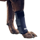 Labra banda compresión pata delantera, protege zonas sensibles del perro