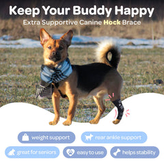 Labra hock wrap bandage and wrap application for easy recovery support.