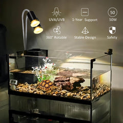Lachesan heat lamp E26 fit demonstrates universal compatibility in reptile enclosures