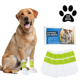 Ladadee disposable waterproof dog booties for paw protection during wet walks.