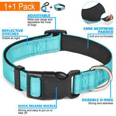 Ladoogo adjustable nylon dog collar for a secure, versatile fit.