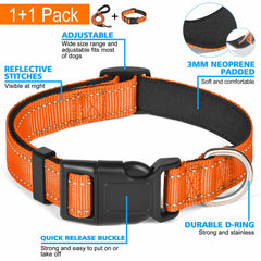 Ladoogo neoprene-padded collar emphasizes breathable comfort during daily adventures.