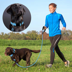 Ladoogo reflective threads enhance night-time visibility during evening strolls.