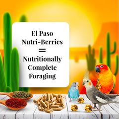 LAFEBER'S Nutri-Berries round-foraging shape highlights enrichment for small birds.