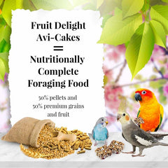 LAFEBER'S Fruit Delight square Avi-Cakes foraging shape encourages beak exercise.