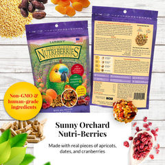Lafebers Gourmet Nutri-Berries Sunny Orchard bag with cranberries and dates for antioxidant-rich snacking.