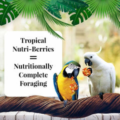 LAFEBER'S Nutri-Berries foraging shape close-up promotes beak exercise and mental engagement.