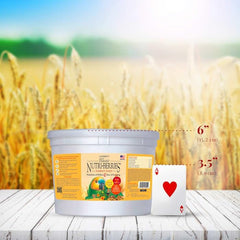 LAFEBER'S Nutri-Berries non-GMO, human-grade ingredients support a high-quality parrot diet.