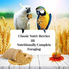 Lafeber's Nutri-Berries omega-3-6 balanced formula supports skin and feathers.