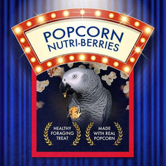 LAFEBER'S Popcorn Nutri-Berries parrot enjoying snack in a perch.