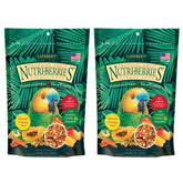 LAFEBER'S Tropical Fruit Nutri-Berries two-pack front view, convenient for parrots.