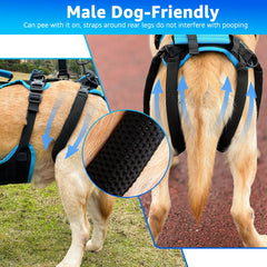 Lafoty dog lift harness four-handle setup enables versatile lifting options.