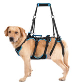 Lafoty dog lift harness large back-legs support enables safer mobility for senior dogs.