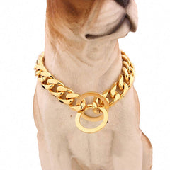 Lakke large dog wearing slip collar during a controlled walk