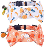 Lamphyface cat collar with bowfruit offers stylish comfort for daily adventures