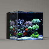 LANDEN 40C front view ultra-clear glass aquarium for a pristine display