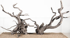 LANDEN Spider Wood branch enhances aquascape texture and shelter for fish