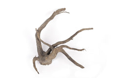 LANDEN Spider Wood driftwood branch creates habitat nooks for aquatic life