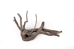 LANDEN Spider Wood branch showcases deep, rich color to enrich tank aesthetics