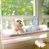 LANERmooos foldable cat window perch front view shows sturdy suction cups for secure lounging.