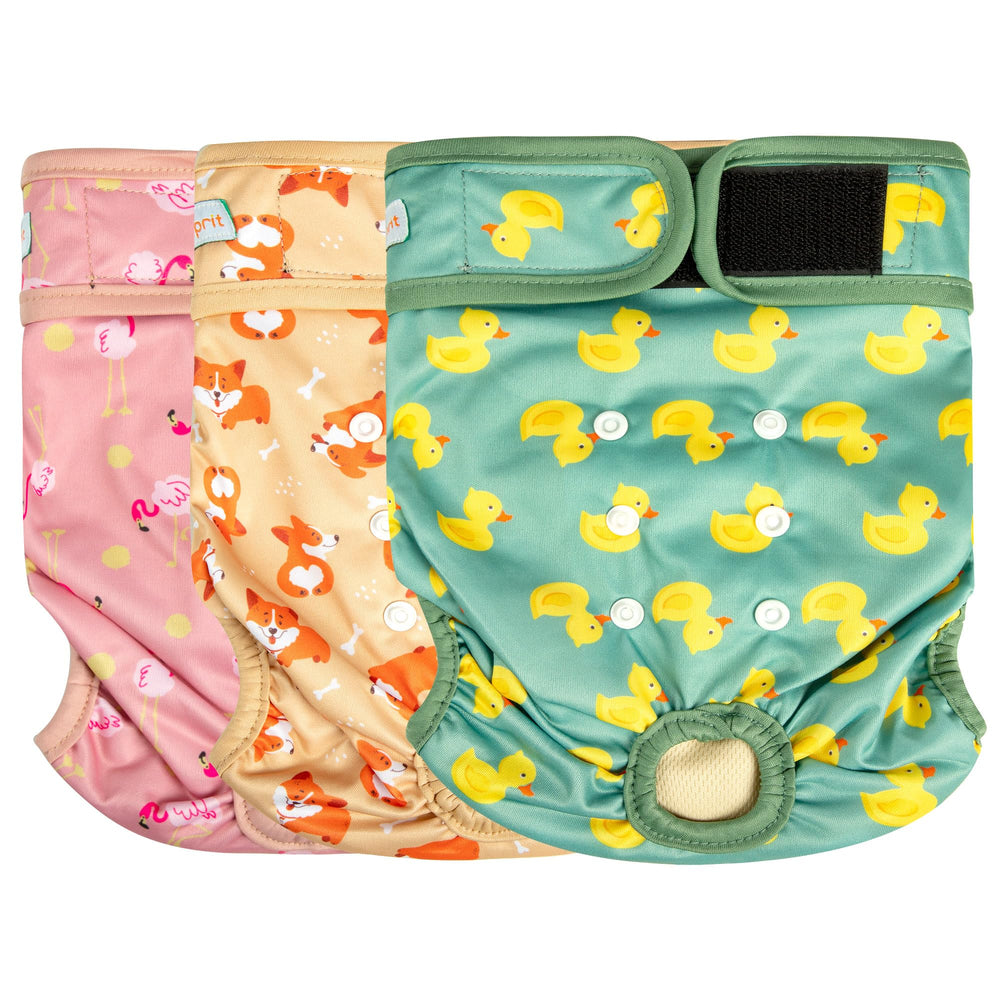 Langsprit washable female dog diapers with absorbent inner layer for leak protection.
