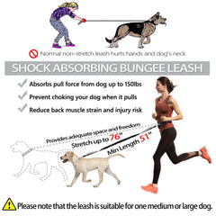LANNEY shock-absorbing bungee leash reduces jerks during brisk walks