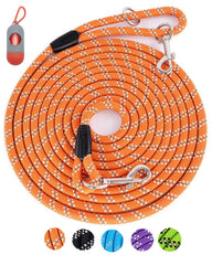 Lanwandeng long dog leash 10ft for focused training and light control.