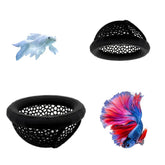 Laoha floating betta hammock setup image shows a safe rest area promoting natural surface behavior.