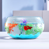 LAQUAL 1-gallon glass fish bowl with decor for clear viewing and serene home accent.