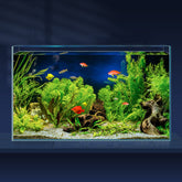 LAQUAL 10-gallon ultra-clear rimless tank front view offers crystal clarity for vibrant scenes