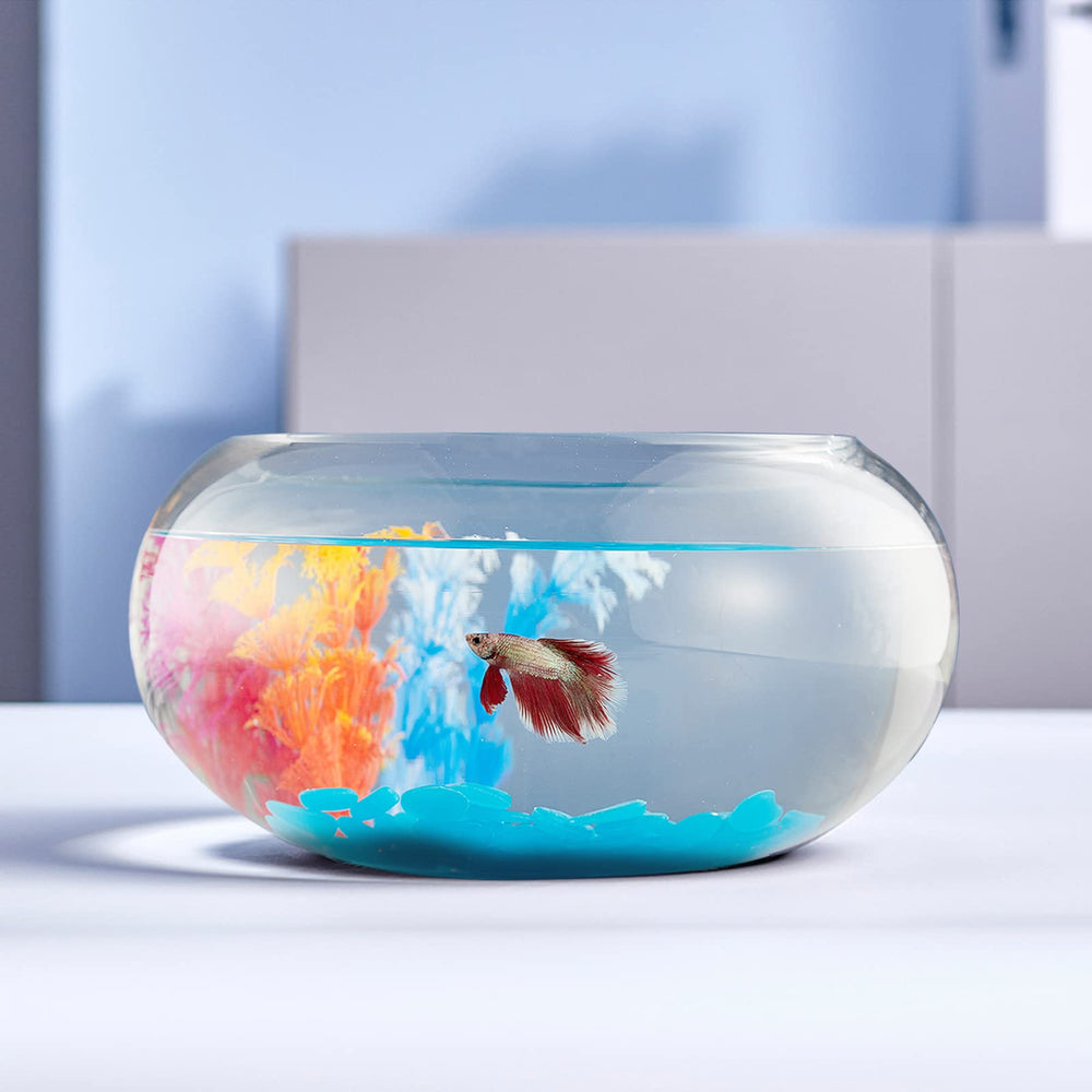 LAQUAL 2-gallon glass fish bowl with decor provides crystal-clear viewing for home aquariums.